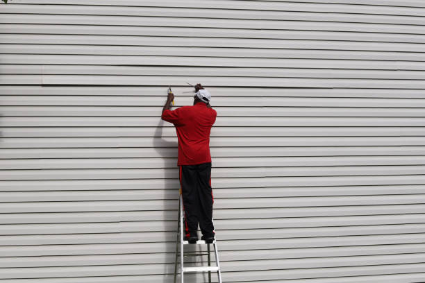 Best Vinyl Siding Installation  in Timberline Fernwood, AZ
